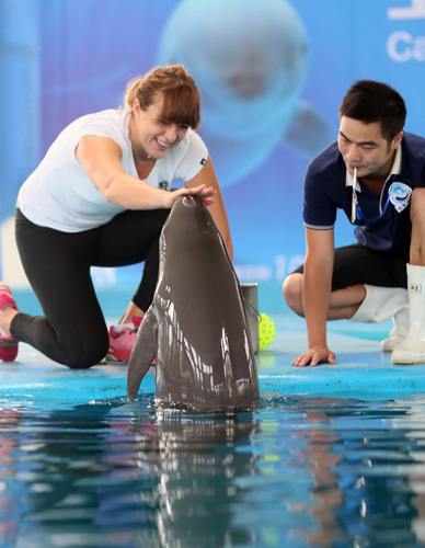 供了更多可 供了更多可